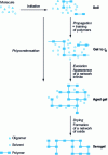 Figure 4 - Schematic description of the sol-gel polymerization process