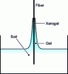 Figure 8 - Xerogel deposition on fiber surface