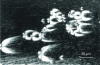 Figure 13 - Comet morphologies obtained by crystallization in a thermal gradient (temperature increasing from left to right)