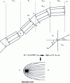 Figure 14 - Spherolite growth in a thermal gradient. Lovinger and Gryte model [16].