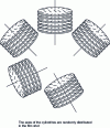 Figure 15 - Proposed model to describe crystalline morphologies in a film with equibiaxial orientation