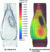 Figure 25 - Final mesh and thickness distribution in the vial (after Bellet et al.[33]).
