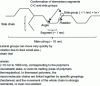 Figure 31 - Skeletal representation of a macromolecule, its different modes of mobility and its dimensions