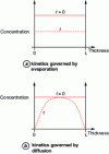 Figure 7 - Schematic diagram of the evolution of the stabilizer concentration profile in the thickness of the initial (t = 0) and aged (t ) sample, within the framework of kinetics governed by evaporation and diffusion.