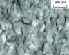 Figure 24 - View of a phyllosilicate matrix containing 5% nanoclay by mass (source TNO)