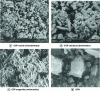 Figure 1 - Microphotographs of precipitated and natural calcium carbonate