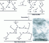 Figure 2 - Schematic diagram of caprolactam polymerization in the presence of organically modified lamellar nanofillers