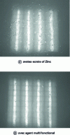 Figure 10 - Surface aspects of SMC after 500 h immersion in water at 60 ˚C