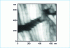 Figure 11 - Height image of the surface of an iPP sample plastically deformed by shear (G. Castelein)