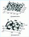 Figure 6 - 10 × 10 m2 images of islands forming on the surface of a P(S-b-BMA) copolymer film.