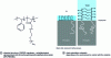 Figure 14 - Molecules segregating at interfaces