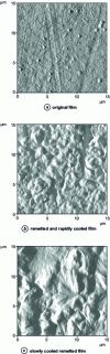 Figure 9 - Surface morphologies of PVDF/PMMA films observed by AFM [7].