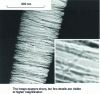 Figure 3 - Cracking (zone of fibrillar deformation) in polycarbonate (PC) film observed under tension with strong defocusing