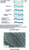 Figure 7 - Double impression of a stripped PP surface