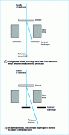 Figure 1 - Main image modes in transmission electron microscopy