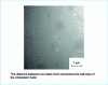 Figure 12 - Fingerprint figures of a cholesteric polymer. Image in light background