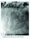 Figure 5 - Aspect of PEEK crystallinity. Heat treatment of PEEK: Tm = 410 °C, Tc = 330 °C (as shown in figure ). Unsized XAS fiber