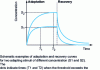 Figure 2 - Olfactory adaptation. Variation over time in the sensitivity of the olfactory system to a continuous stimulus (from )