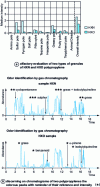 Figure 6 - Chromatogram and olfactogram of two polypropylenes, obtained by GC-MS-olfaction (from )