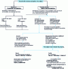 Figure 4 - Summary diagram of intermodal relations according to