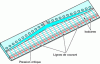 Figure 19 - Flow inside the flat die