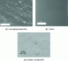 Figure 11 - Micrographs (obtained by scanning electron microscopy) of the surface
of polypropylene injection moldings unfilled with an endothermic chemical
blowing agent. Influence of gas pressure in the cavity.