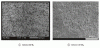 Figure 16 - Micrographs of the foamed core of PE lighteners obtained by nitrogen
and CO2 injection [12]