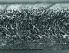 Figure 2 - Optical
micrograph of polypropylene foam injected with elongated cells