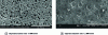 Figure 20 - Polymethyl methacrylate (PMMA) foams, obtained with two depressurization
rates from a batch inflation procedure [15].