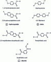Figure 1 - Main monomers used in the manufacture of thermotropic liquid crystal polyesters