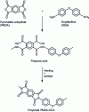 Figure 1 - Synthesis from a dianhydride and a diamine