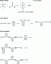 Figure 2 - Reaction mechanism for obtaining PDCPD (from )