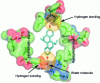 Figure 6 - Structure of the ERα receptor (reproduced from [18])