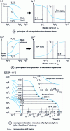 Figure 9 - Application of the time-temperature superposition principle to the construction of module master curves