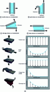 Figure 26 - Main types of test