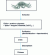 Figure 8 - Schematic representation of chitin and chitosan extraction 4