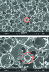 Figure 4 - PUR "A" foam observed by scanning electron microscopy