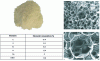 Figure 6 - Elemental composition and SEM observations of white polyurethane foam