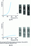 Figure 7 - Heat resistance tests for PE and RP specimens [4]