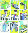Figure 1 - Stages in the extrusion blow-molding process (doc. DFM)