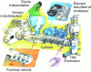 Figure 2 - Extrusion unit (DFM doc.)