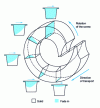 Figure 30 - Description of the melting mechanism in a C-chamber (after Janssen [16])