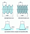 Figure 7 - Examples of mating screw profiles (from Clextral documentation)