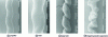 Figure 2 - Volume deformations observed for extrudates emerging from a capillary die