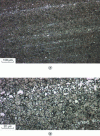 Figure 3 - Micrograph of X85WMoCrV6-5-4-2 steel – 4% Nital etchant