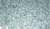 Figure 7 - Micrograph of X190CrVMo20-4 steel – Nital 4% etchant