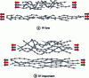 Figure 8 - Schematic representation of chains stretched above Tg