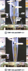 Figure 2 - Geometry of LDPE bubbles produced at identical stretching speed and cooling air flow rate [36].