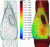 Figure 30 - Final simulation result: deformed mesh and thickness distribution
