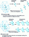 Figure 7 - Extraction of local sub-topology